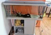 Vendo Aquario Aquatlantis 160Litros
