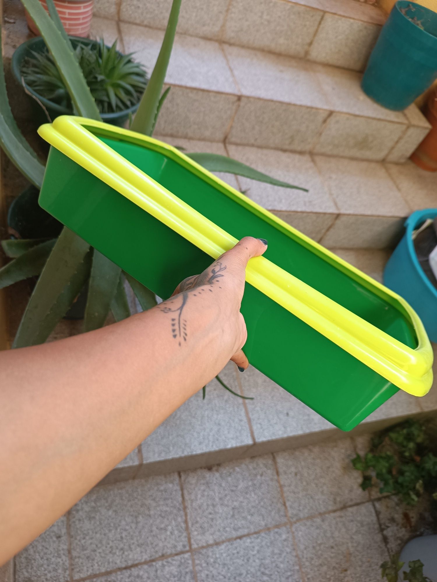 Caixa de areia para gatinho