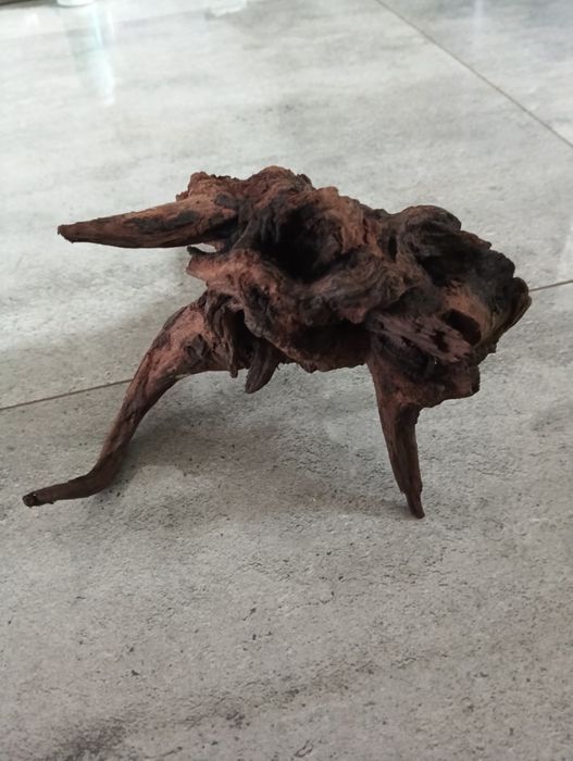 Korzeń do akwarium 25 cm piękny duży