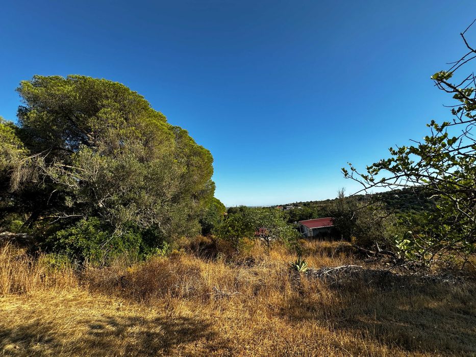 Terreno Rustico em Boliqueime, Ribeiro