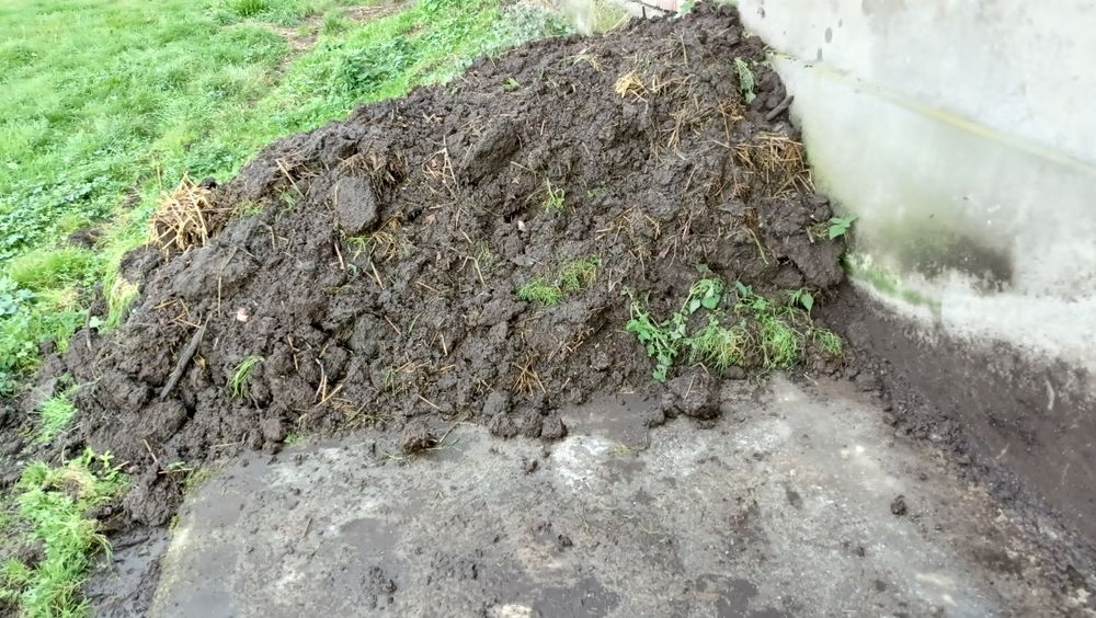 Oddam obornik mieszany, królik, kura