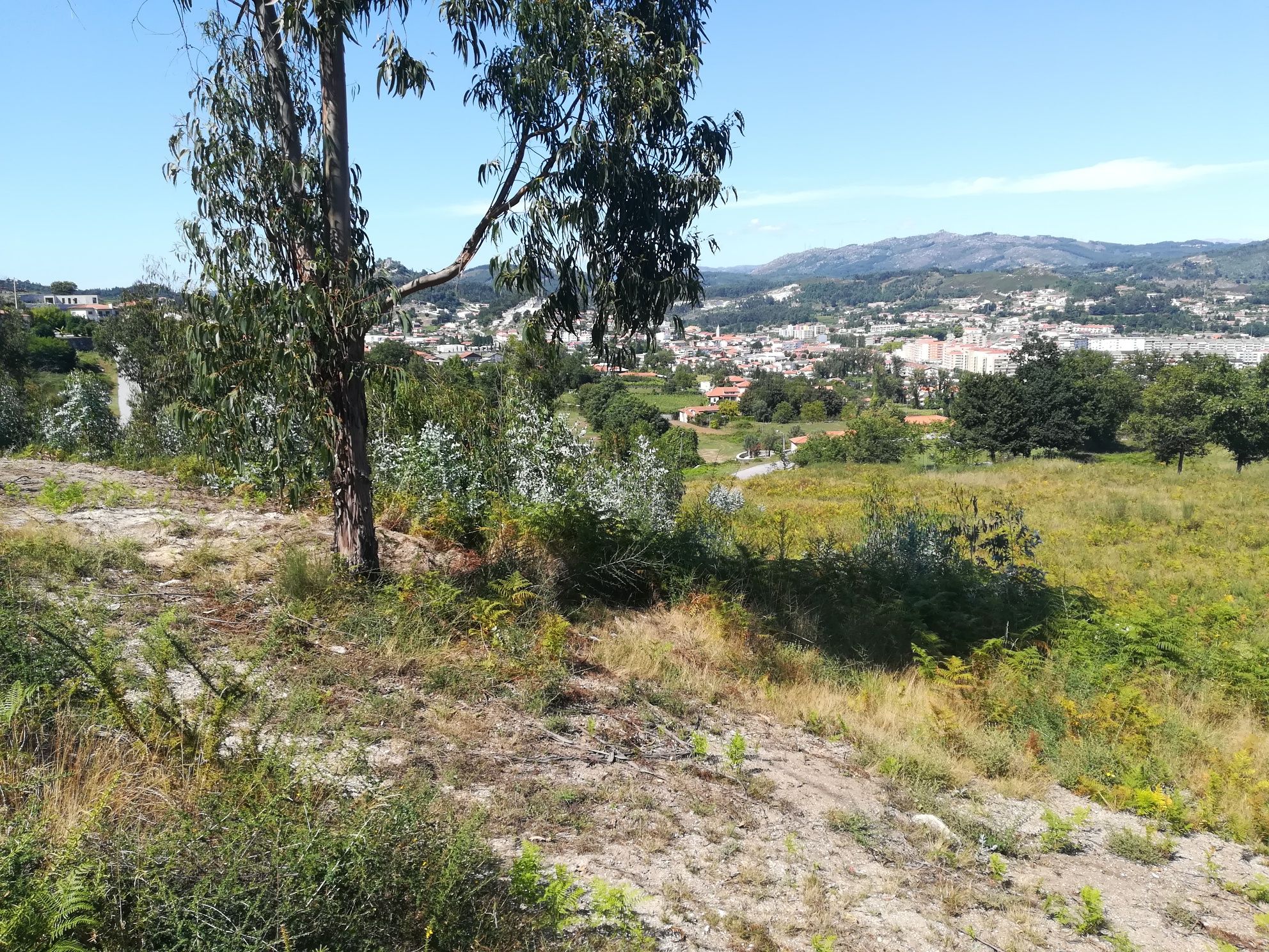 Terreno muito bem situado para construção