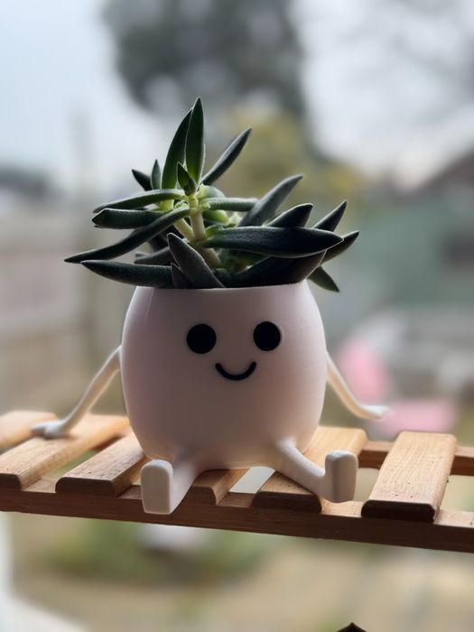 Vaso para plantas suculentas