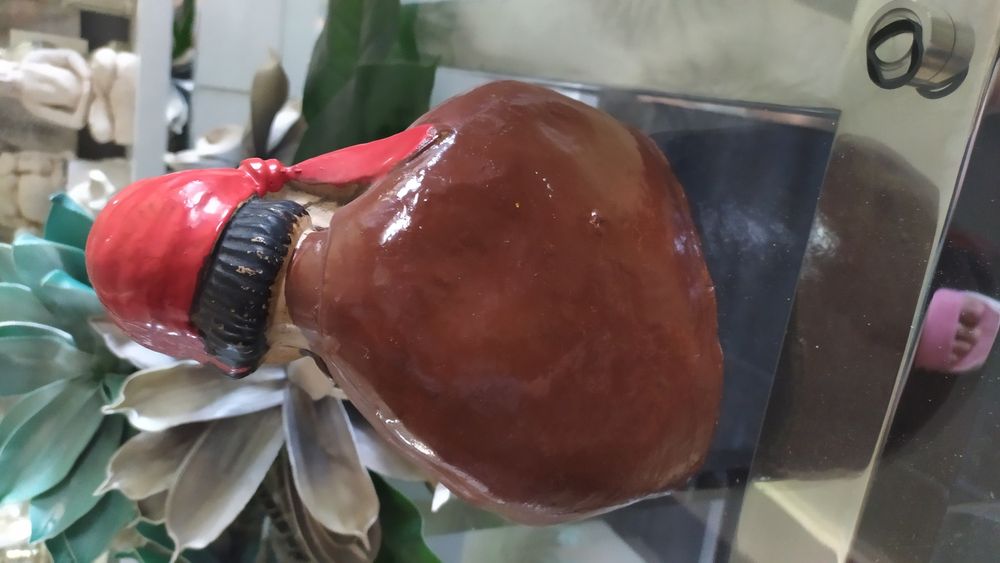 Cigana muito antiga com mais de 100 anos