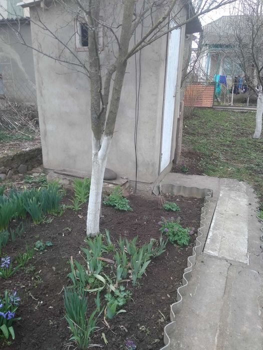 Два невеликих будинки  під дачу