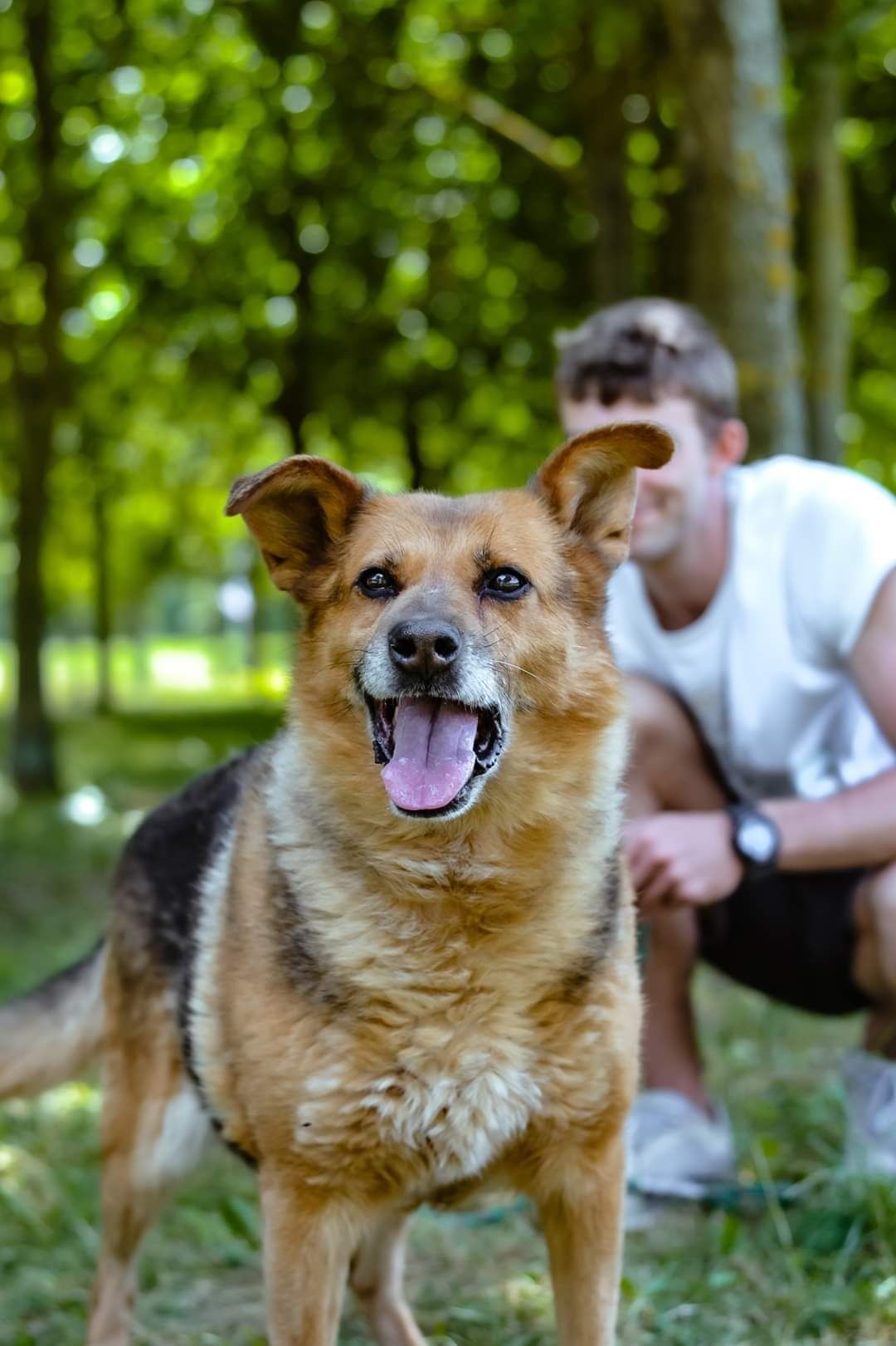 Przekochana sunia w typie owczarka niemieckiego szuka Domu!