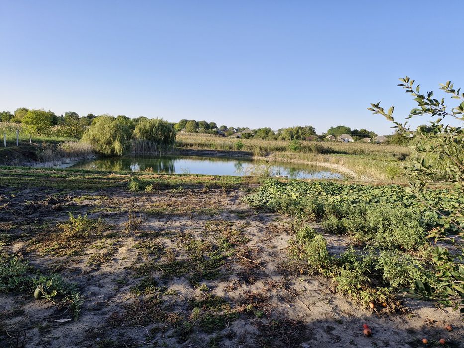 Продається будинок в Кривому Озері