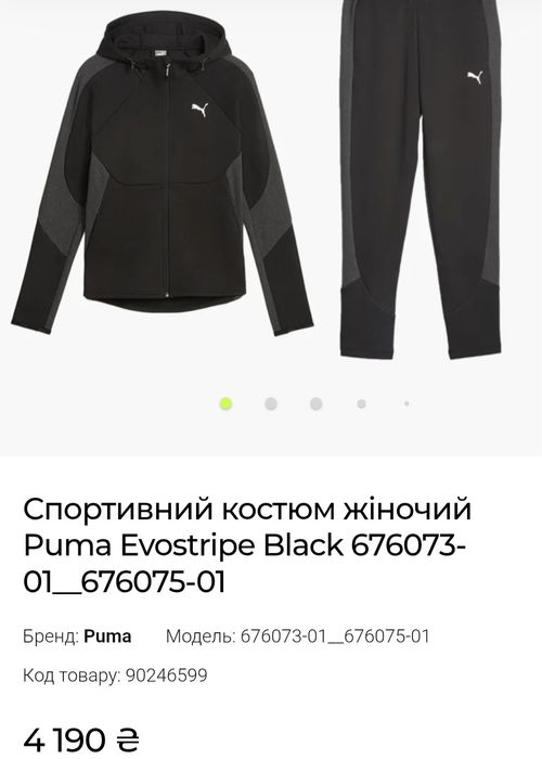 Спортивний костюм Puma
