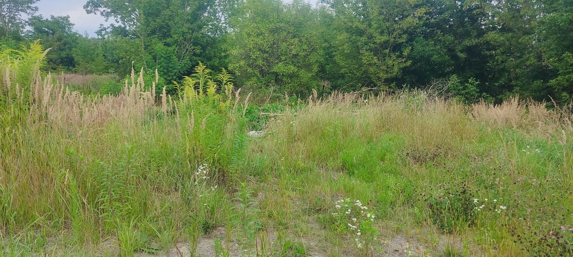 Sprzedam działkę 2065m² Osiedle Karolówka Zamość