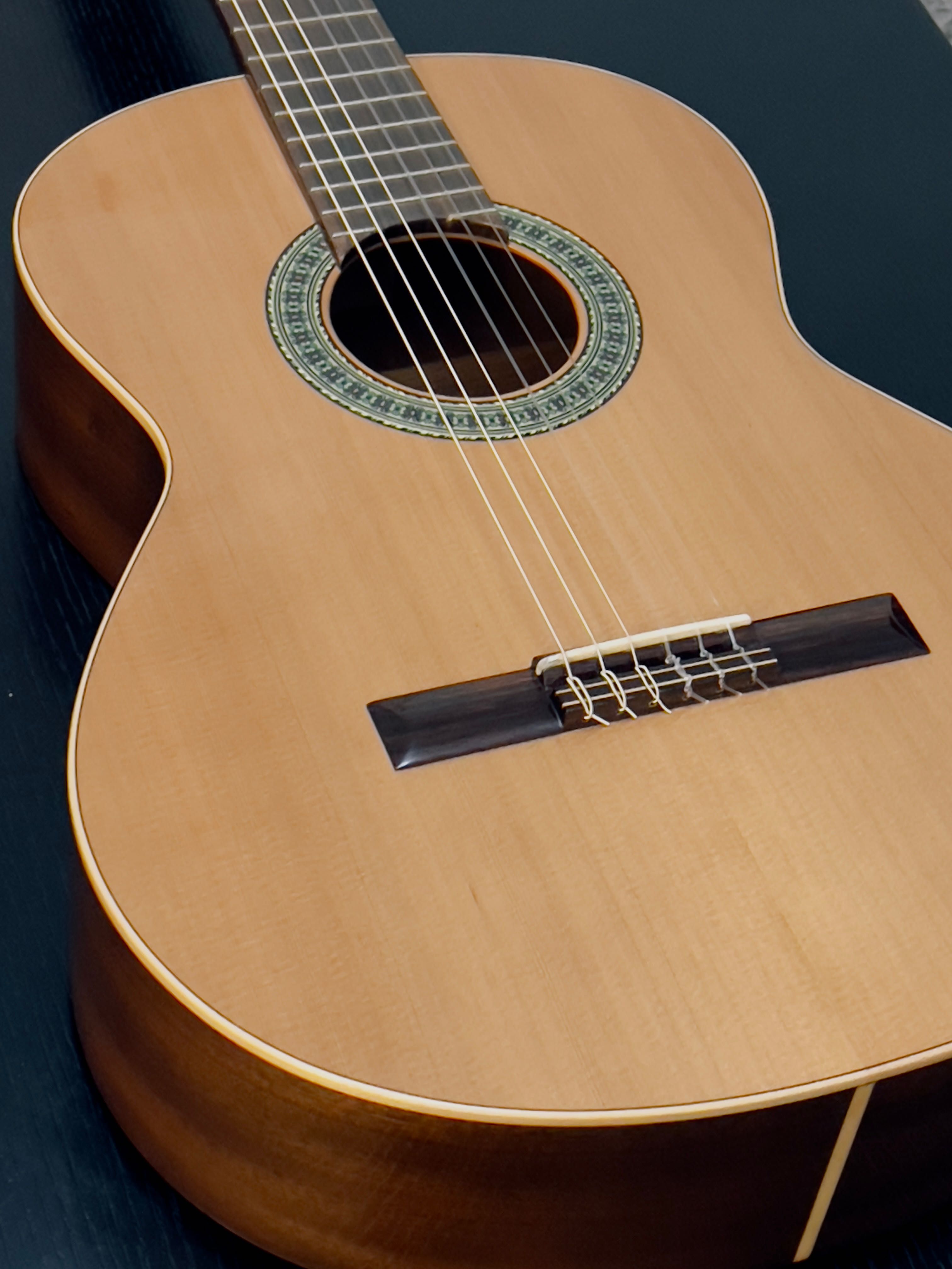 Guitarra Clássica Paco Castillo 201 + Saco Transporte