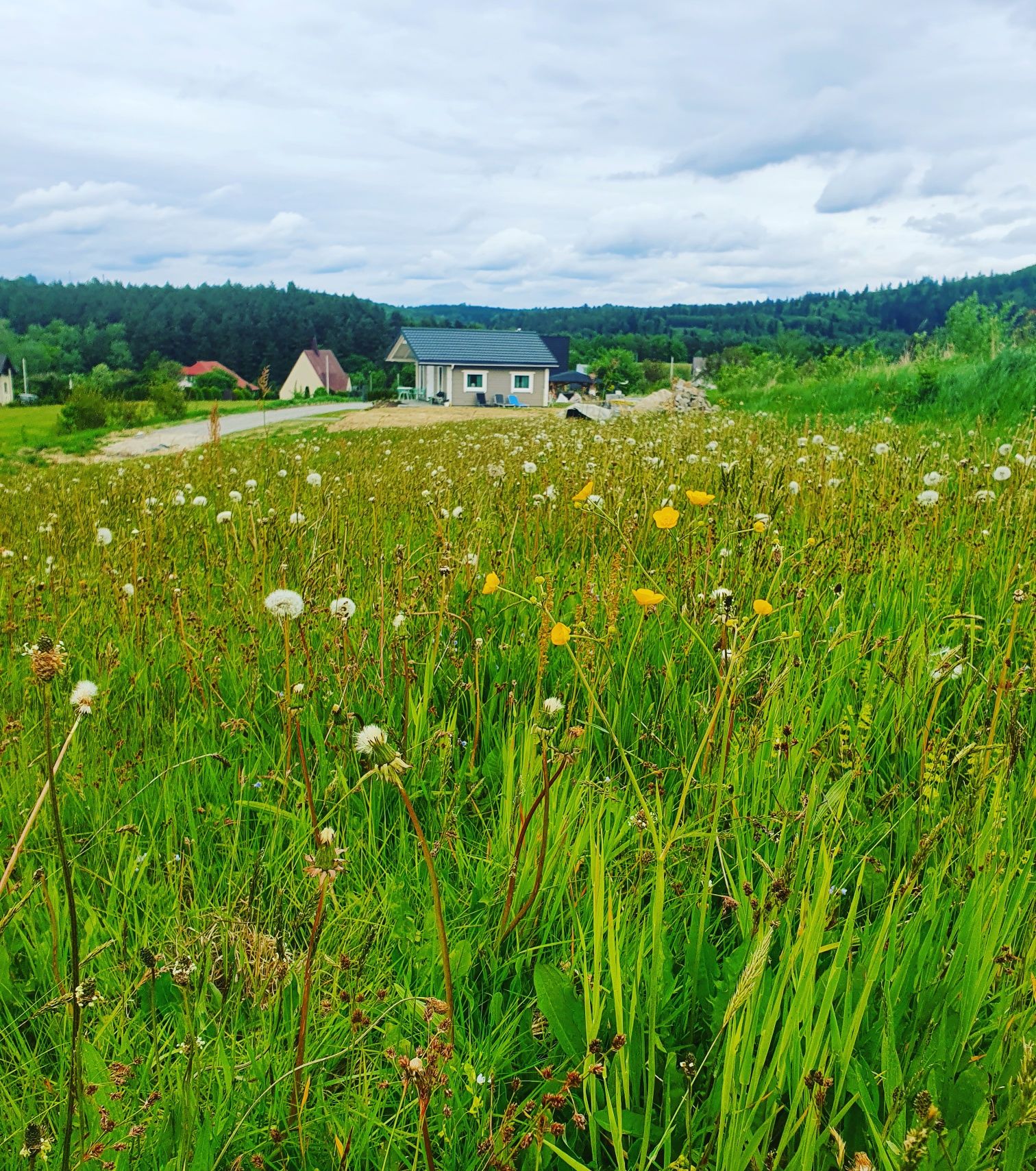 Domek Bieszczady