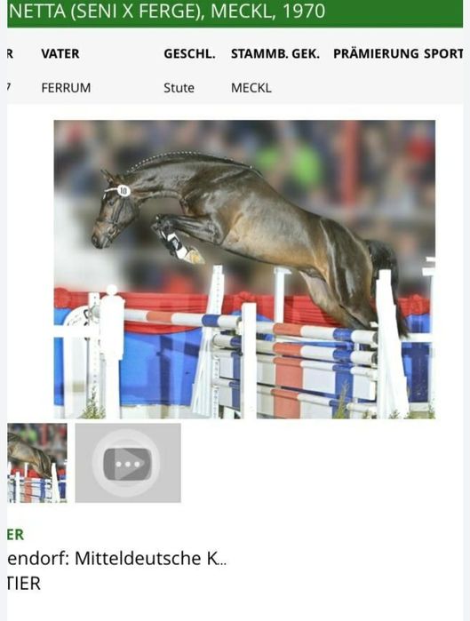 Ogier z licencją Old.Courtier po Conthargos