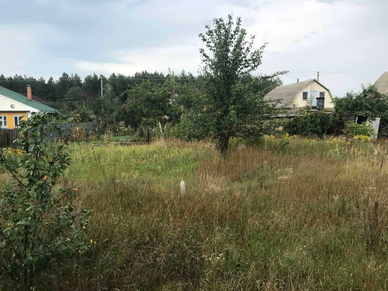 Продаж земельної ділянки. Пилиповичи.