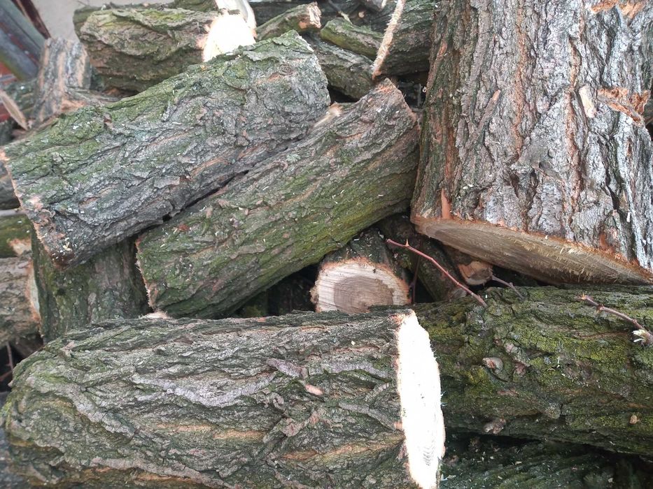 drzewo drewno dąb brzoza kominkowe opałowe