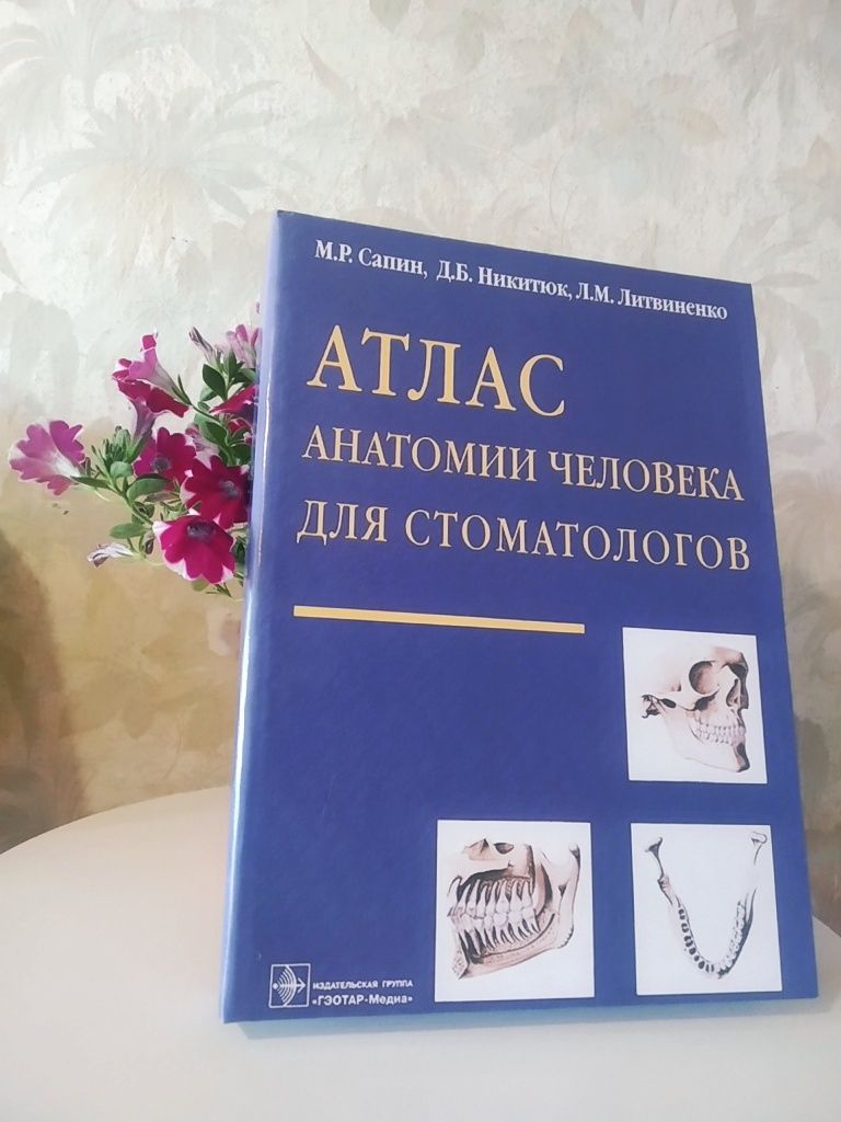 Атлас анатомии человека для стоматологов. Сапин