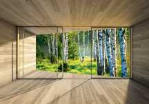 Fototapeta Widok z Okna Las Brzozowy 3D Na Twój Rozmiar + KLEJ