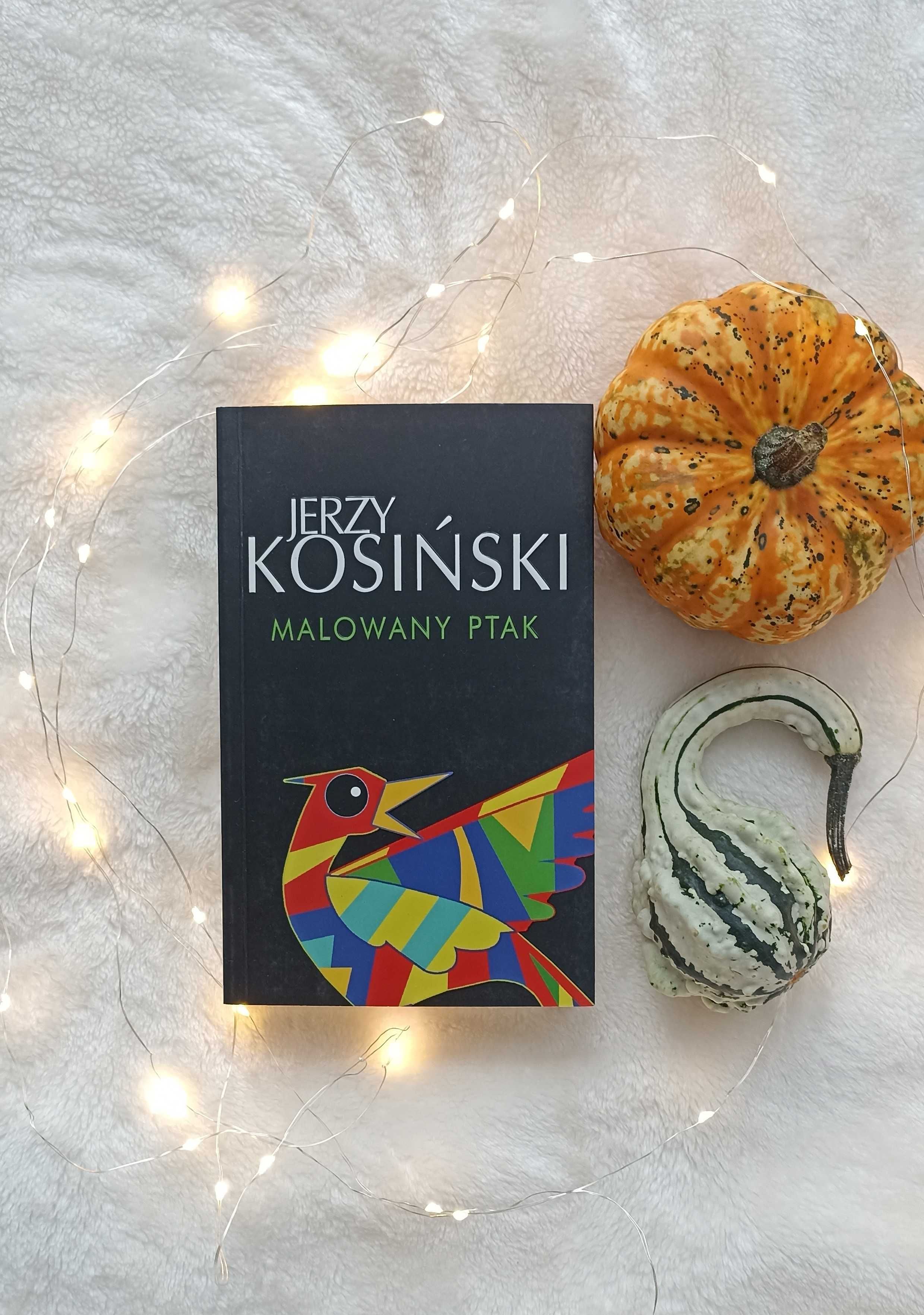 Malowany Ptak Jerzy Kosińsi