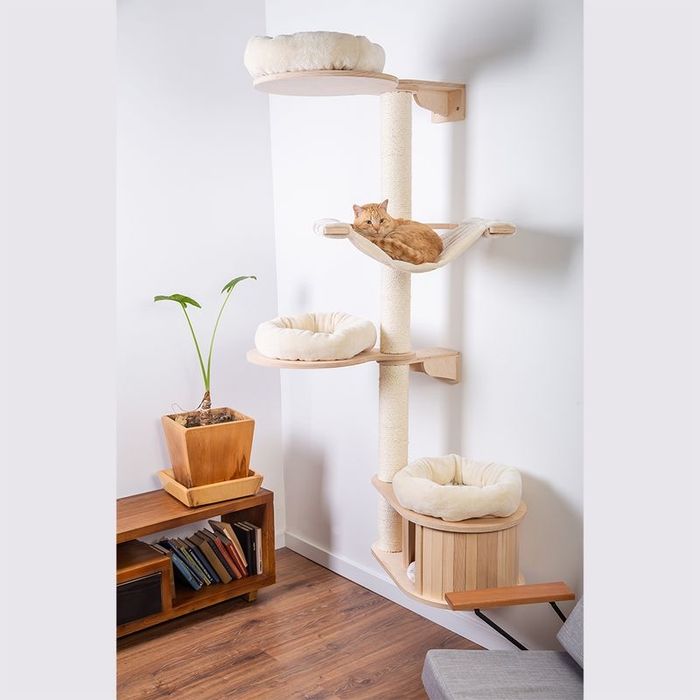 Natural Paradise Magnolia drapak ścienny wysoki drewniany