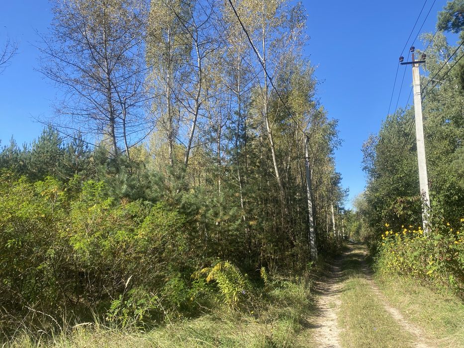 Продаж ділянки Гореничі вул Лісна