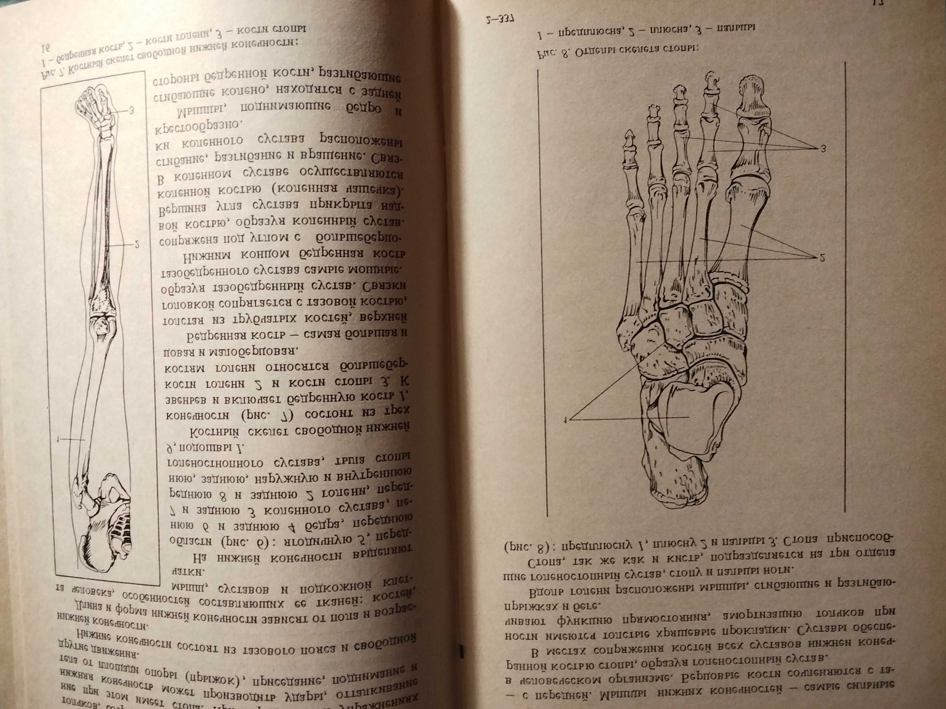 Пособие по маникюру и педикюру