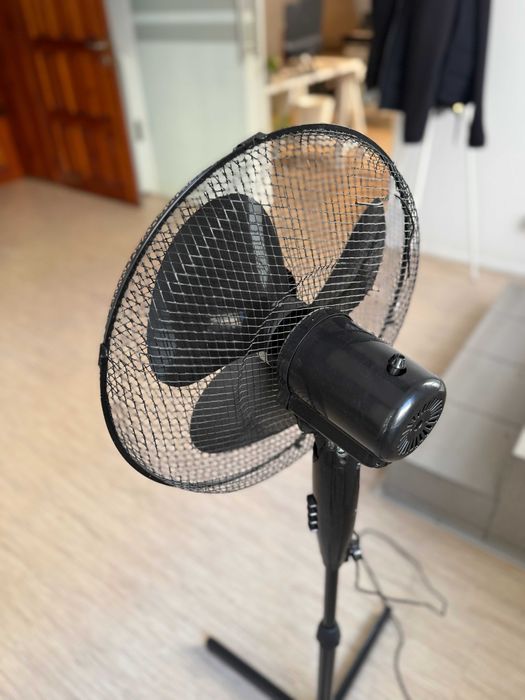 Wiatrak czarny, sprawny - za darmo