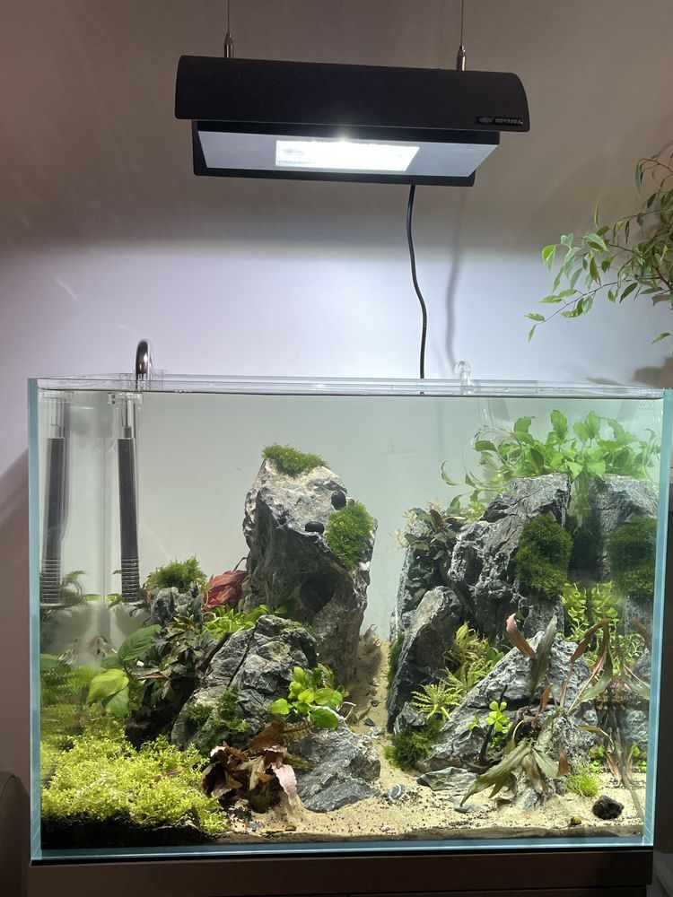 Lampa HQI Odyssea ADV 70W