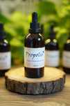 Propolis - ekstrakt - butelka 100ml - grudzień 2024