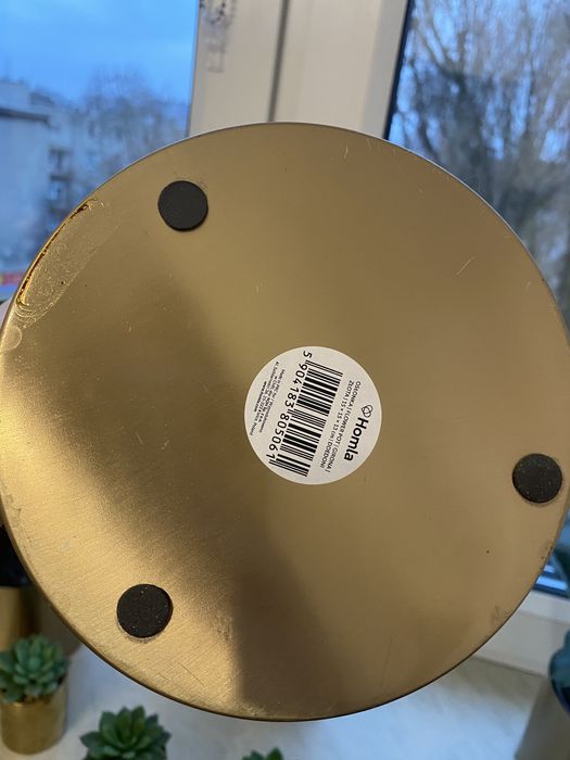 Złota dinoczka homla