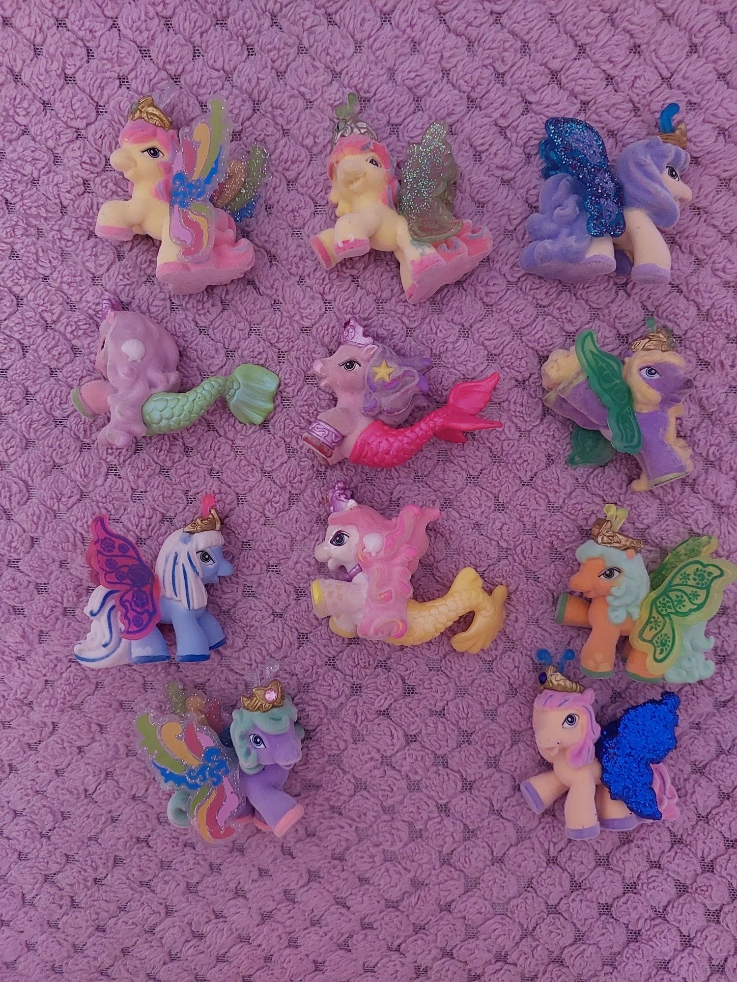 Поні філлі, pony filly