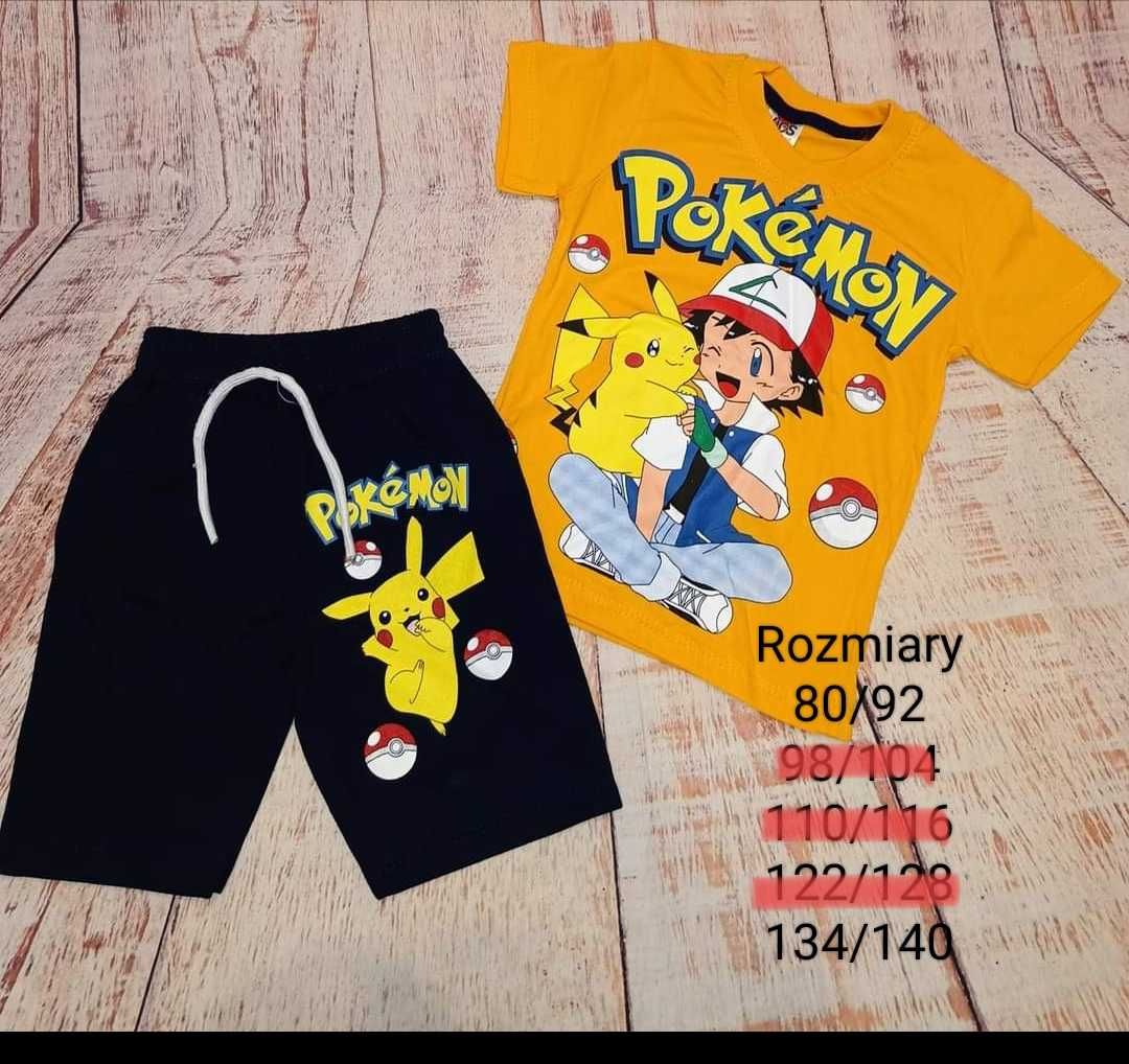 Komplet pokemon wiosenny 80/92