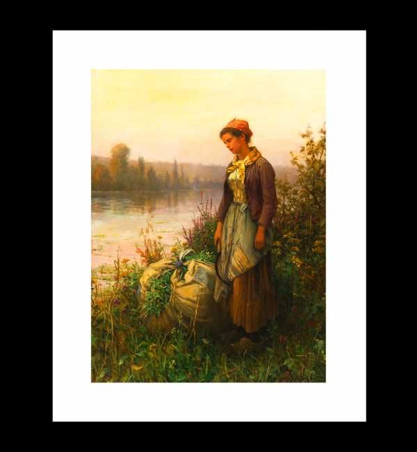 Daniel Ridgway Knight, Zachód Słońca Po Koszeniu