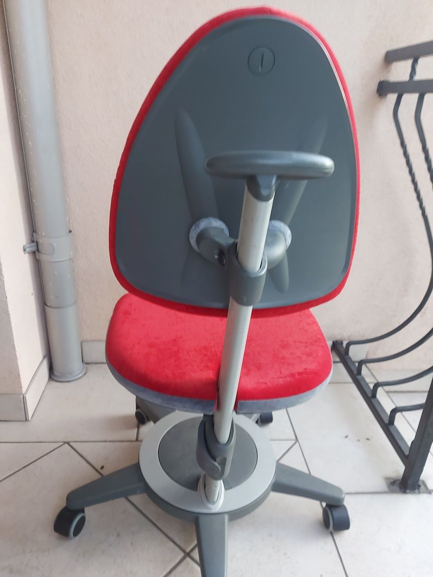 MOLL krzesło do biurka dla dziecka,rośnie,razem z dzieckiem,Nowy model