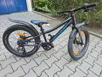 Rower Bergamonster