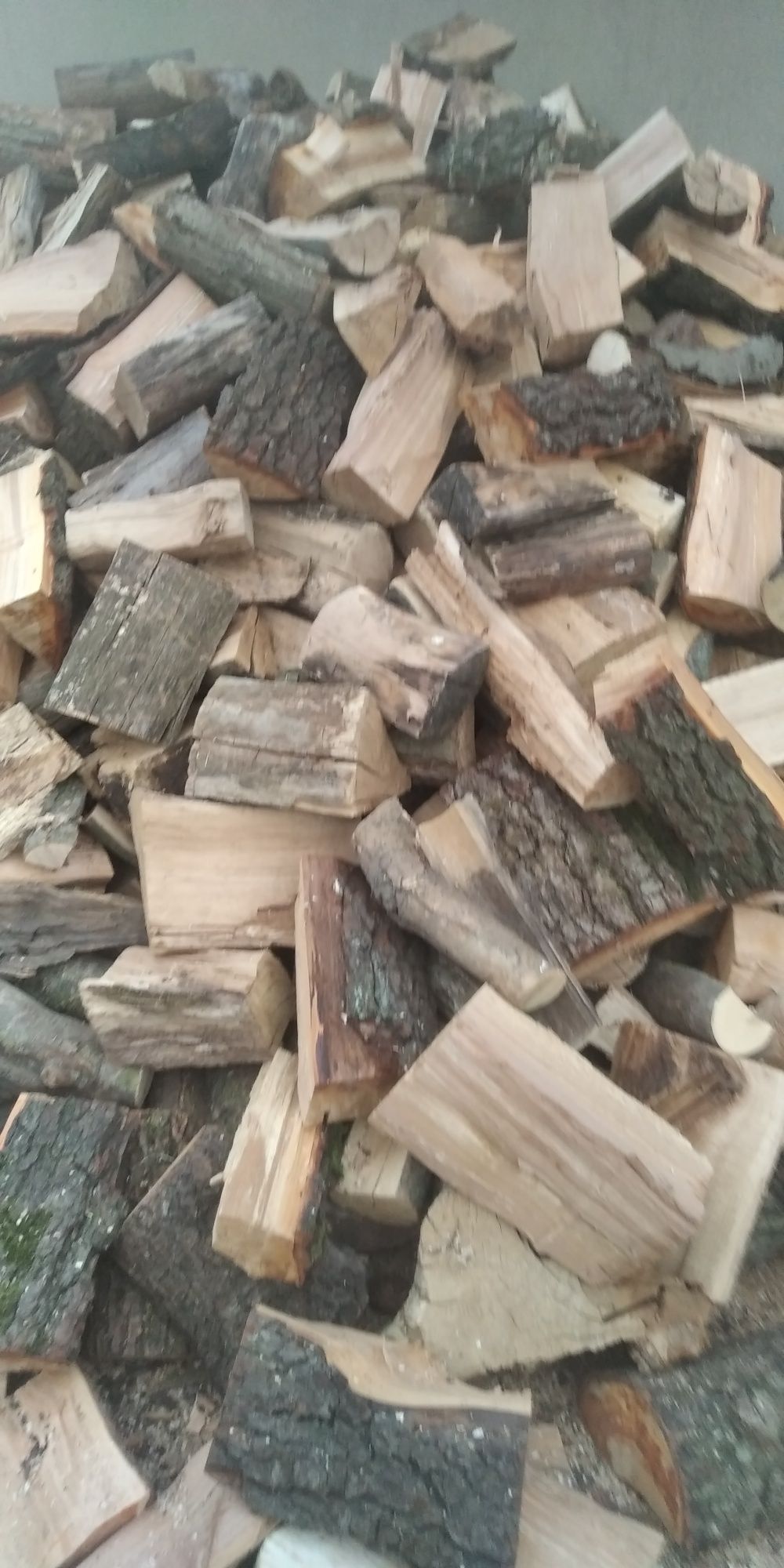 Drewno liściaste sezonowane