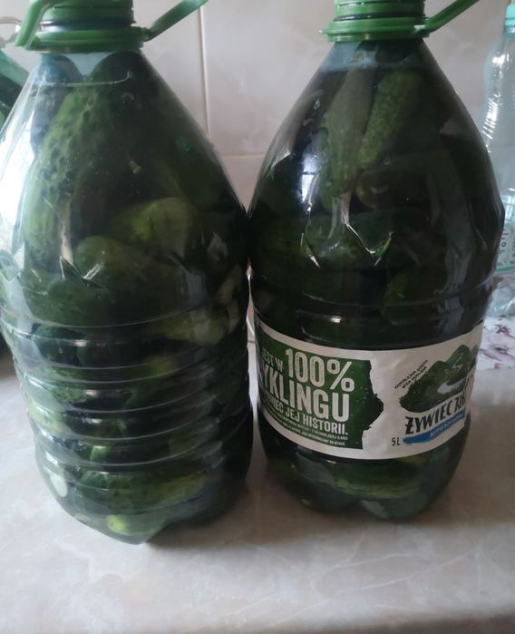 Ogórki kiszone z własnego gospodarstwa