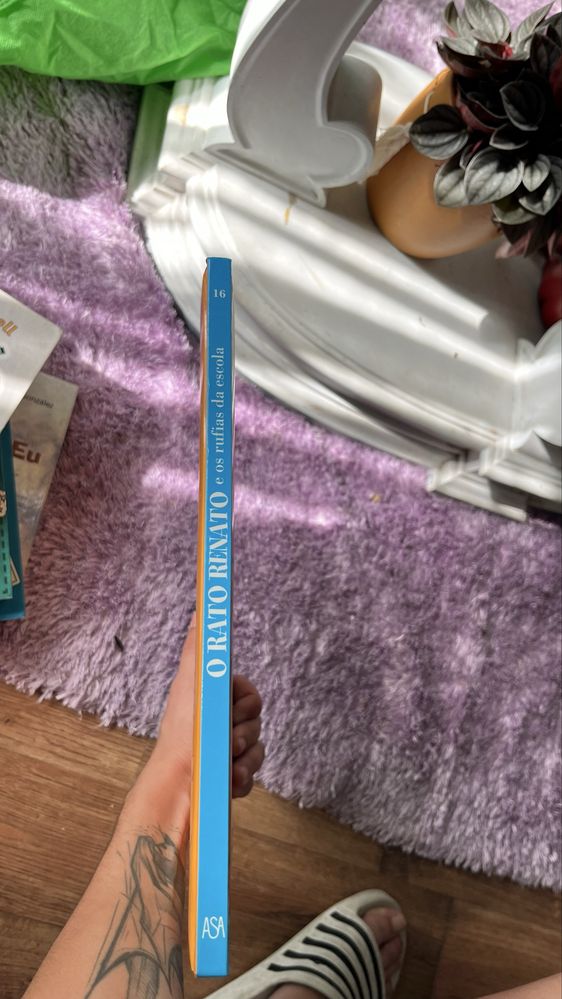 livro o rato renato