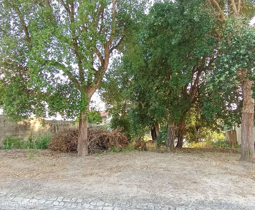 Terreno Urbano para Construção – Próximo do Mosteiro da Batalha