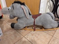 Konik na biegunach (osioł)