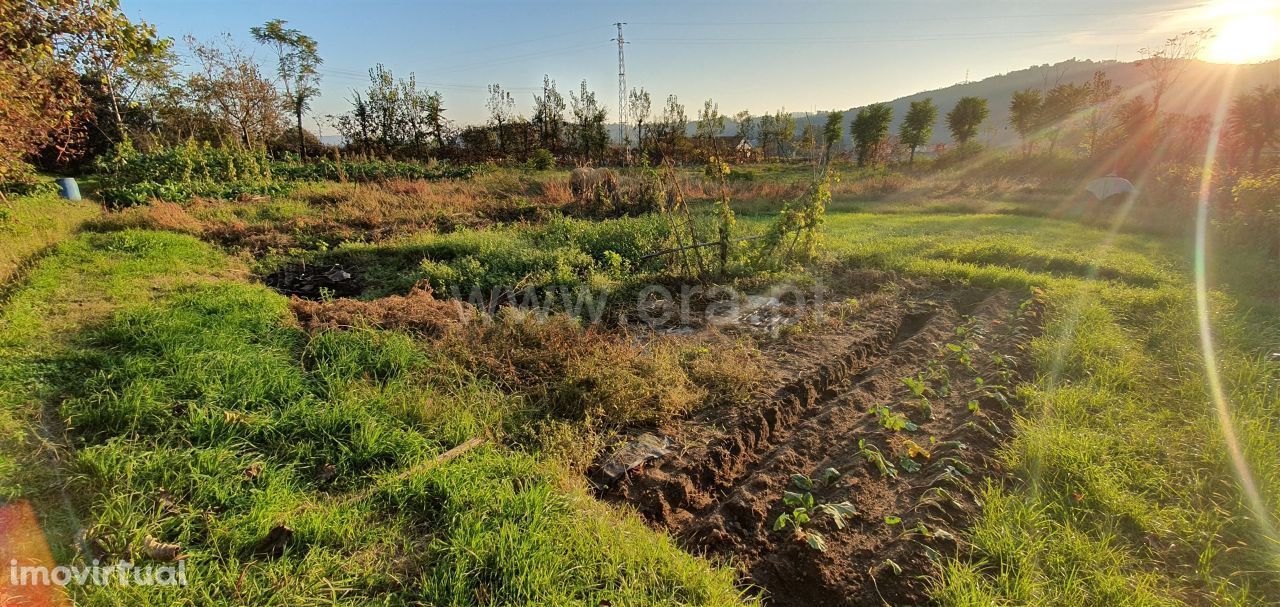 Terreno agrícola com 3.730 m2 em Arões São Romão