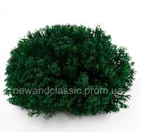 Український стабілізований мох, янгель зелений 100 грам - GreenUkr1