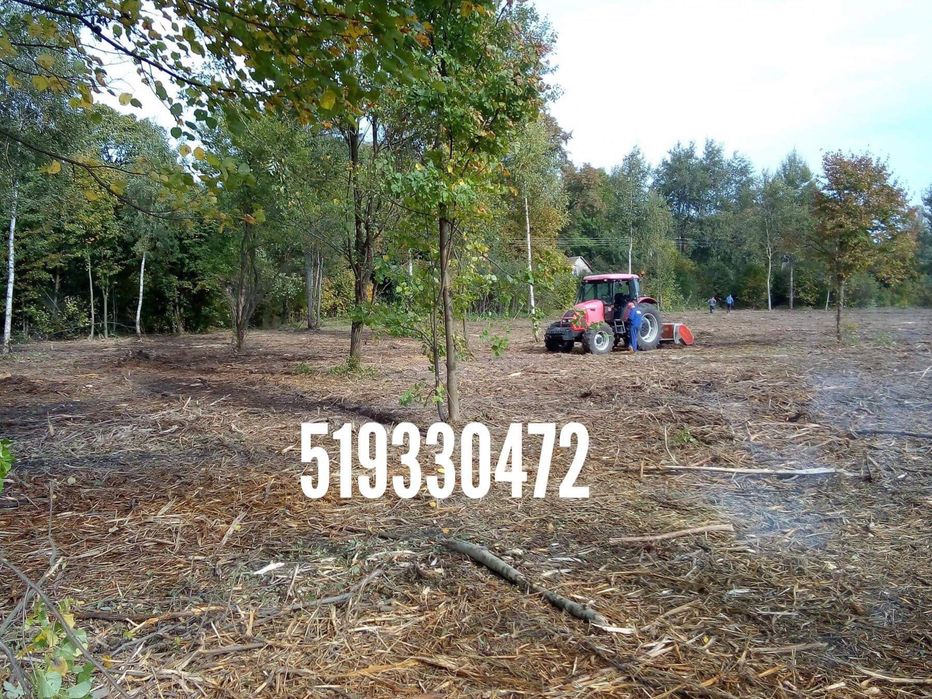 Wycinka drzew mulczowanie krzaków drzew koszenie traw czyszczenie lasu