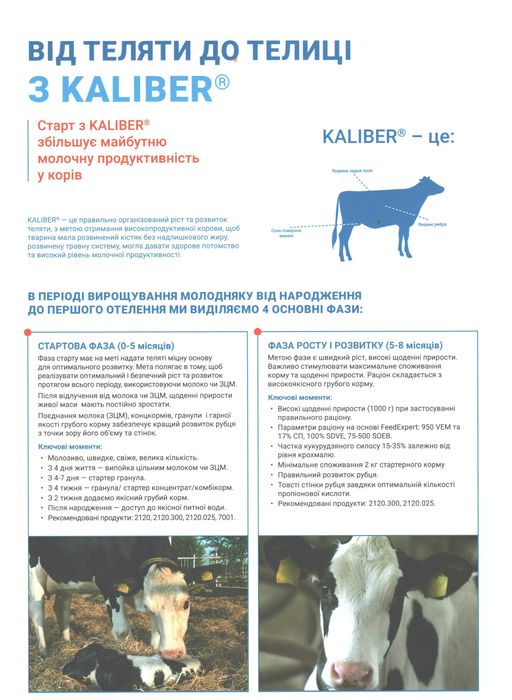 Замінник молока для телят 12днів, 12% Коудайс 20кг Коудайс Україна7001