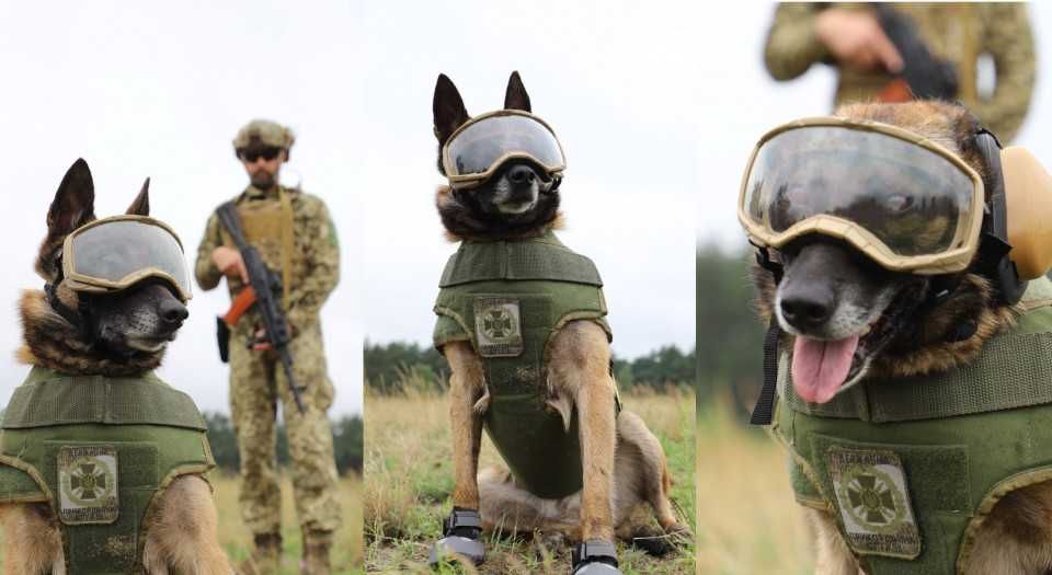 Тактичні проффесійні окуляри для собак Elite, (3 лінзи), coyote/black