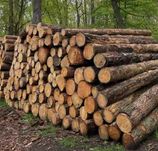 Дрова дуб, акация, ясень, доставка по всей области, без предоплаты