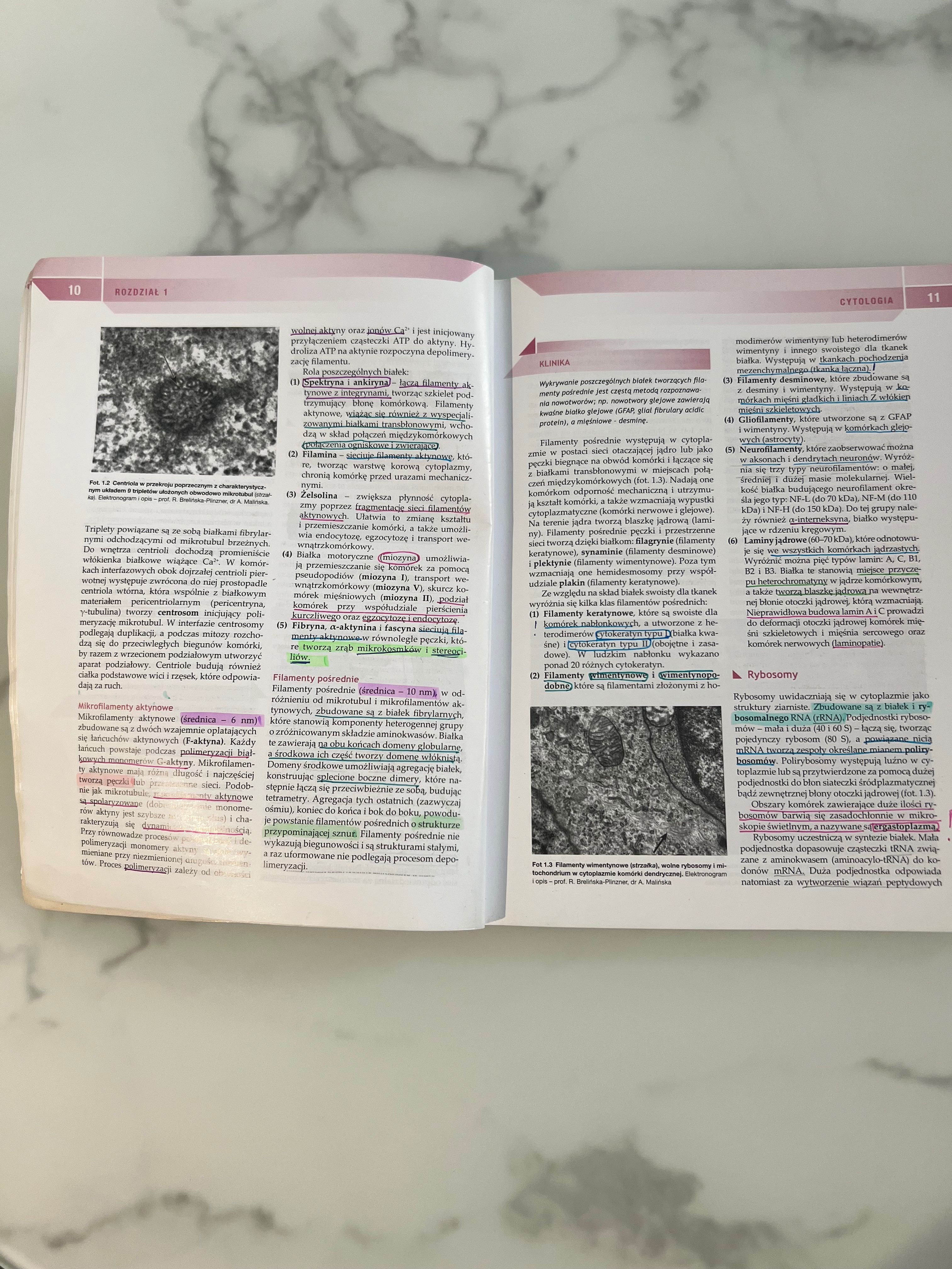 Histologia Zabel, używana, wyd. 2017