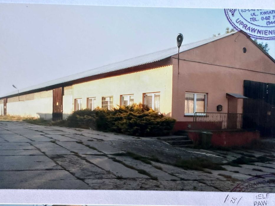 Sprzedam nieruchomość rolną, zabudowaną – Lubska, Gmina Wilków