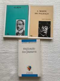Conjunto de dois livros de autores portugueses ( portes incluídos)