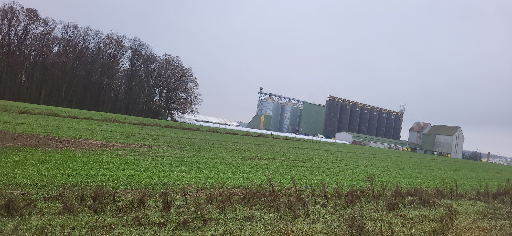 Dzialka budowlana Lewkowiec Ostrów Wielkopolski  919 m 2 sprzedam