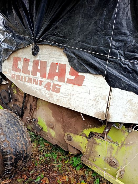 Sprzedam prase Claas Rollant 46