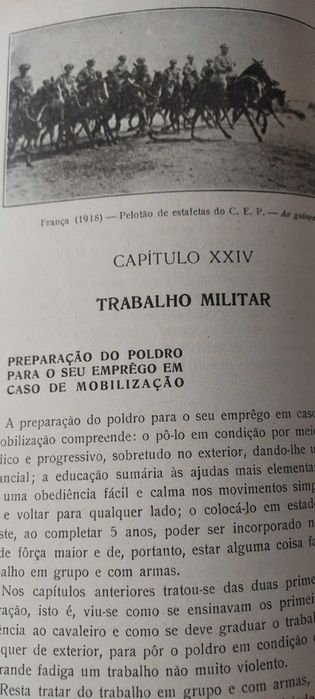 Apontamentos de equitação ed.1923